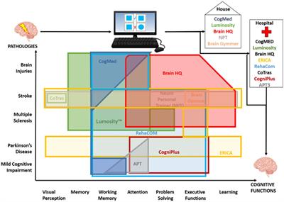 Computer-assisted cognitive rehabilitation in neurological patients: state-of-art and future perspectives